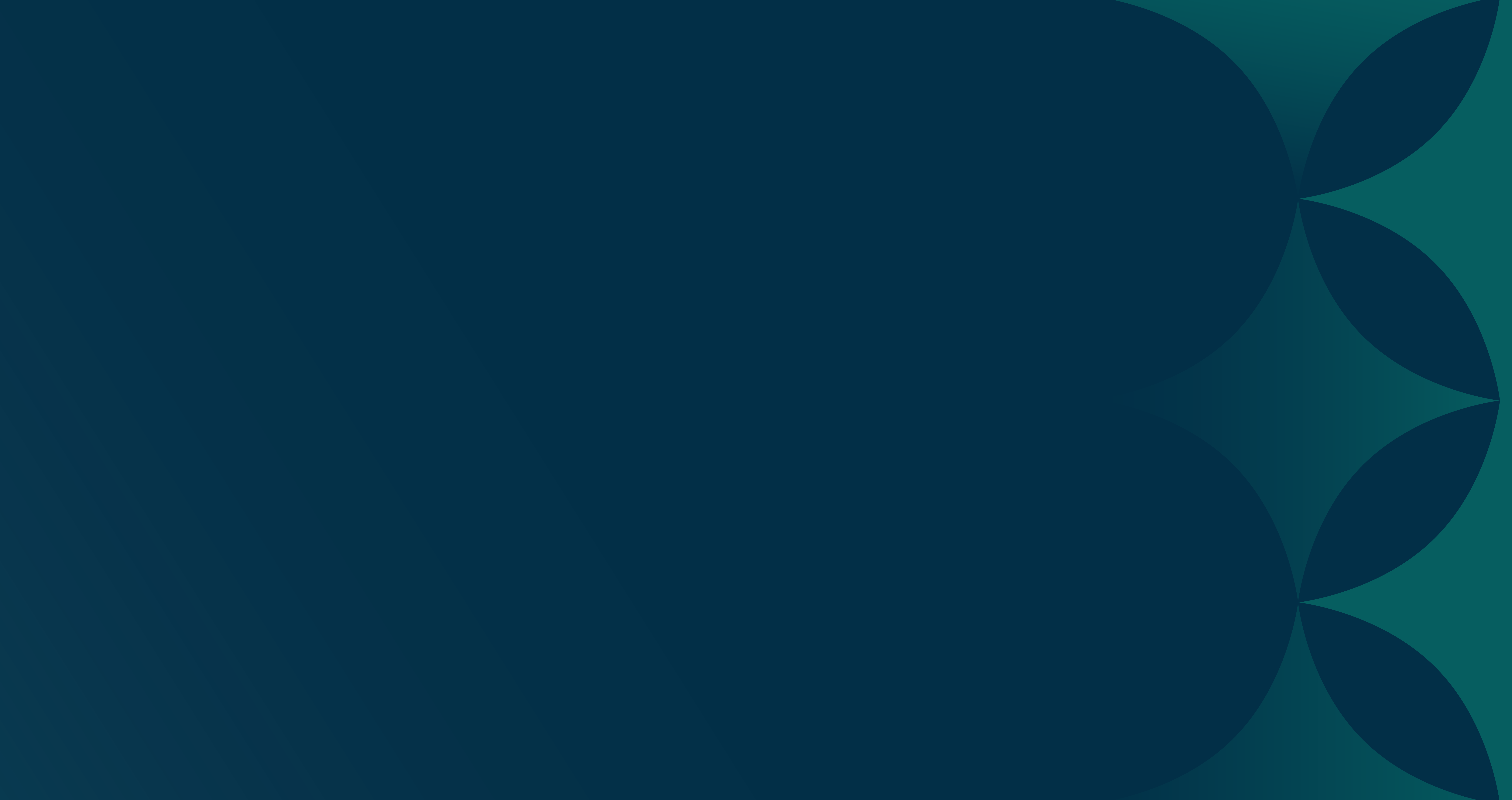 Website Usage Policy
